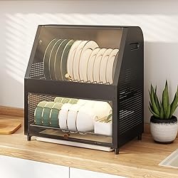 CXTRYN 2 Tier Dish Drying Rack - Space-Saving Dish