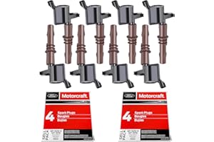 MAS Set of 8 Ignition Coils Brown boots DG521 and Motorcraft SP-509 Spark Plugs Compatible with Ford Expedition F-150 Super Duty F-250 F-350 F-450 F-550 F53 4.6L 5.4L C1659 DG521