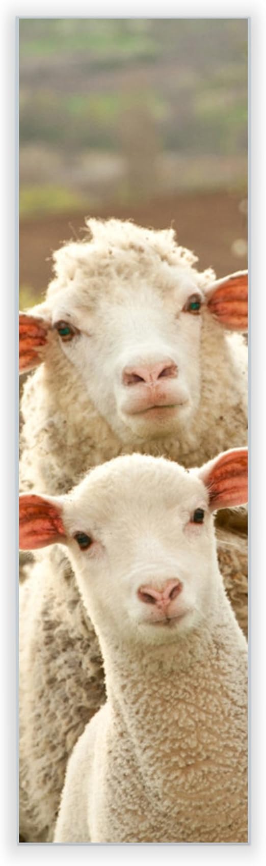 Nuevo PANEL de vidrio acrílico para lámpara de pared de IKEA ...