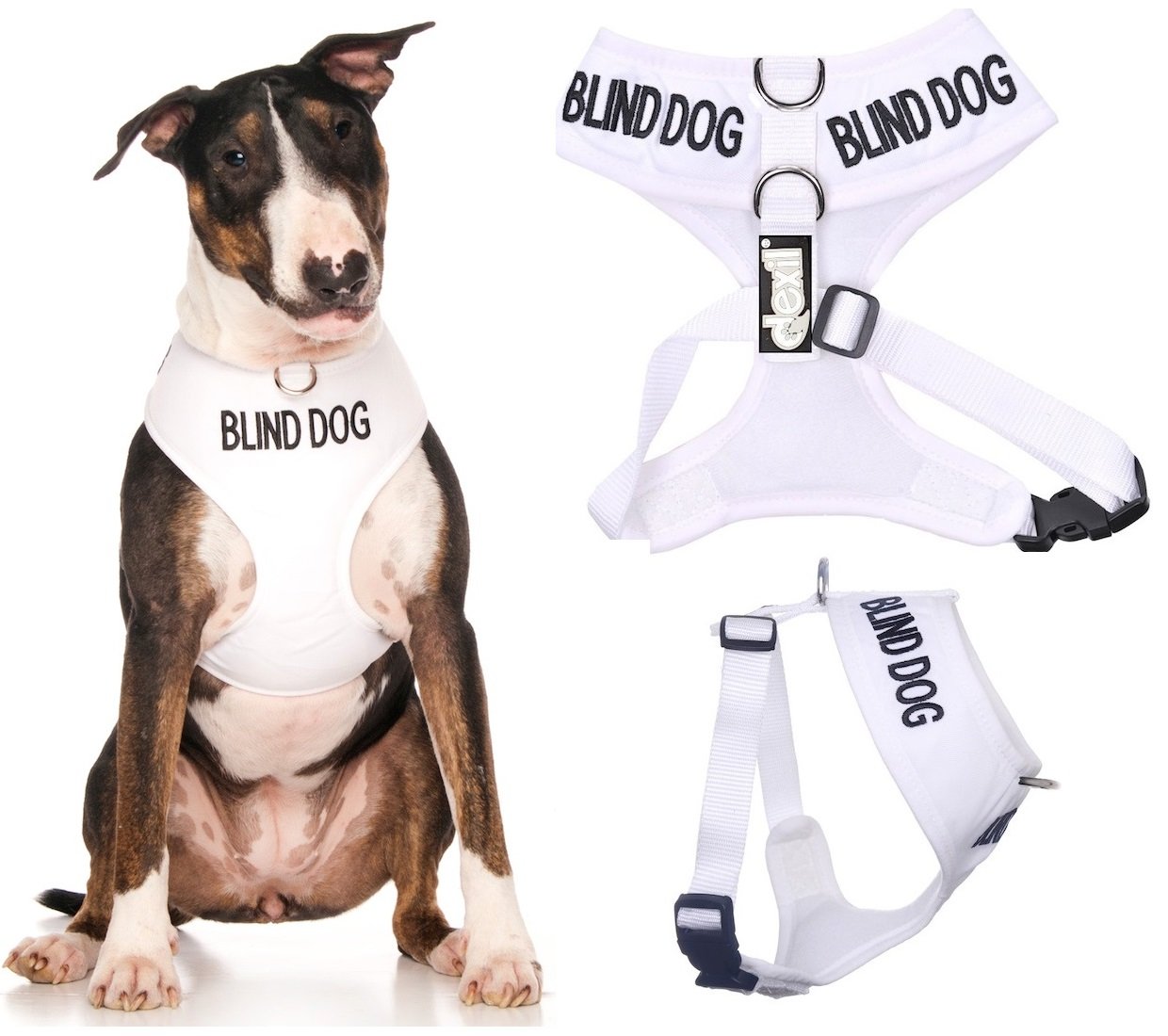 Dexil BLIND DOG (Dog Has Limited/No Sight) White Colour Coded Non-Pull Front and Back D Ring Padded and Waterproof Vest Dog Harness PREVENTS Accidents By Warning Others Of Your Dog In Advance (L)