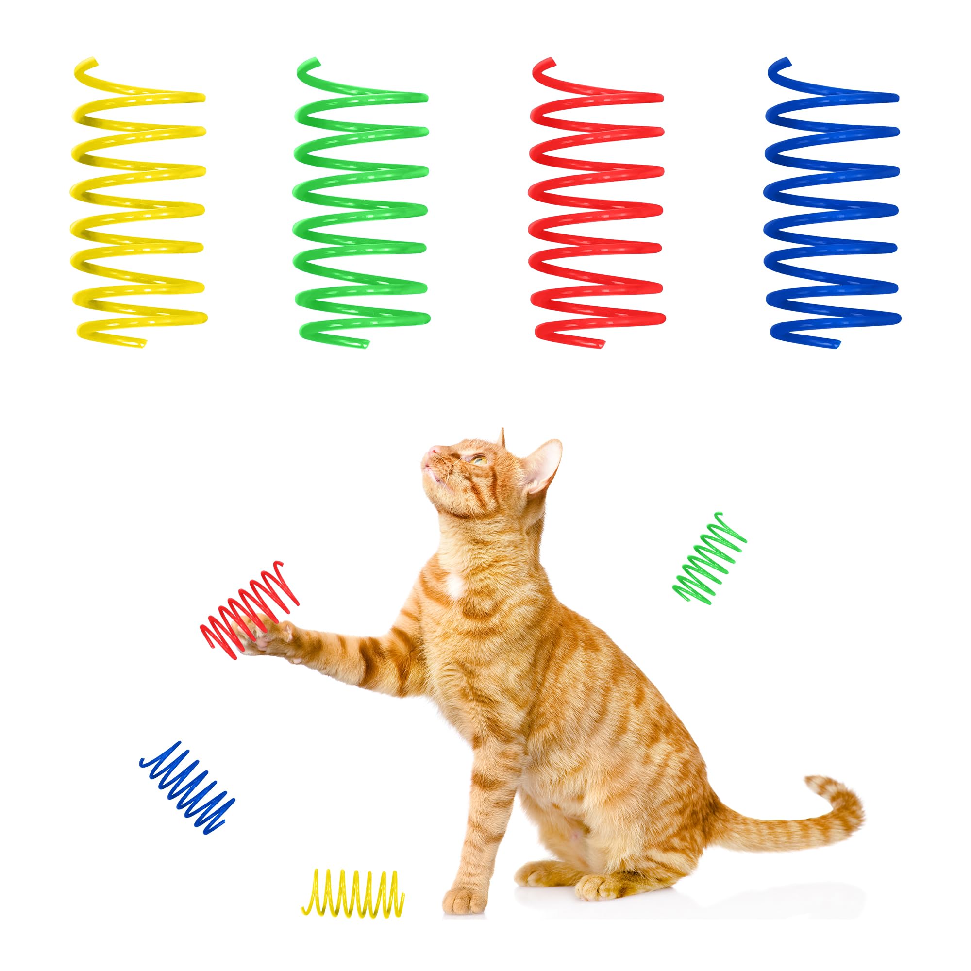 SPOT Colorful Springs Wide 10 Pk Ethical Pet