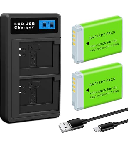 Amazon.com : Battery 2 Pack and USB Rapid Travel Batteries Charger