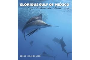 Glorious Gulf of Mexico: Life Below the Blue (Volume 28) (Gulf Coast Books, sponsored by Texas A&M University-Corpus Christi)