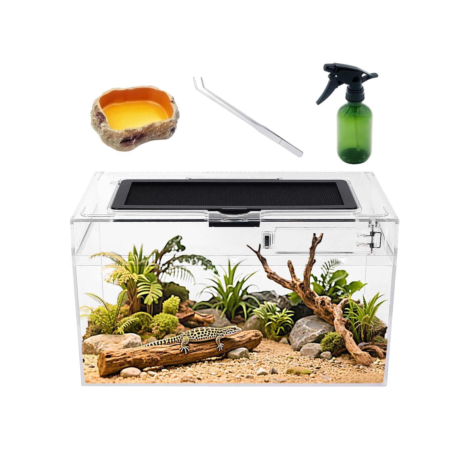 Reptile Plastic Terrarium Set,12" x 7"x 6" Low Reptile Tank with Full View Visually Appealing，for Insect，Fish，Tarantula，Hermit Crab，Jumping Spider，Iguana，Tortoise，Leopard Gecko，Frog，Bearded Dragon
