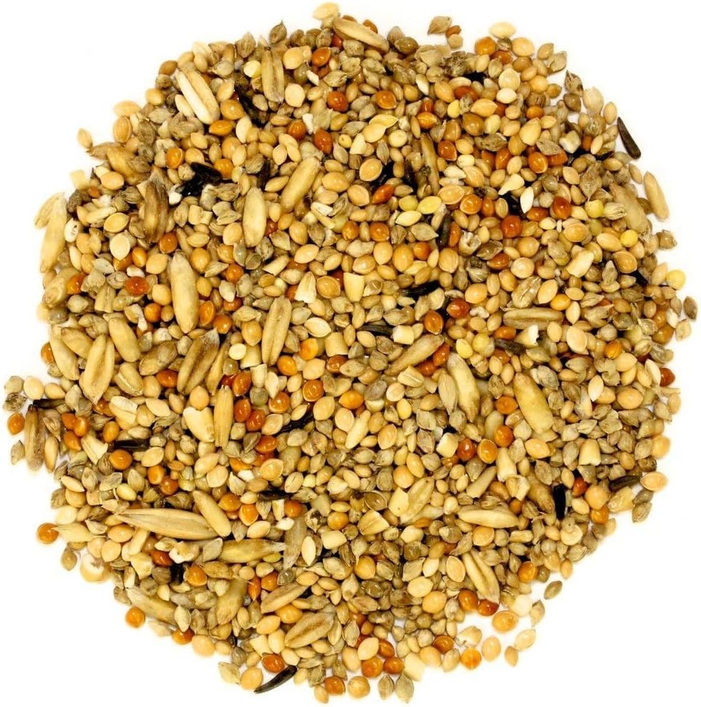 PetNest Premium Bird Feeder Mixed Seed Bird Food- 1000 GMS (2 Kg)