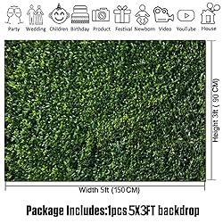 Nature Spring 3D Green Leaves Theme Photo