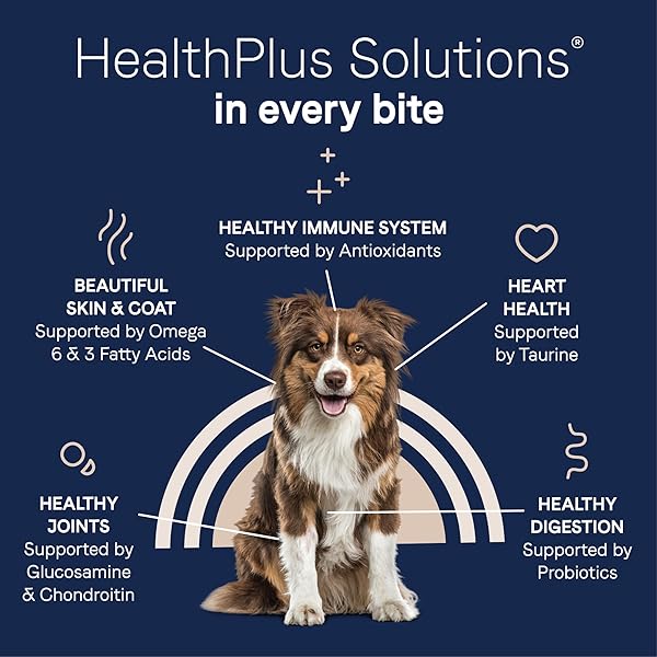 CANIDAE PURE LIMITED INGREDIENT PREMIUM ADULT DRY DOG FOOD, REAL LAMB & SWEET POTATO RECIPE, 12 LBS, GRAIN FREE