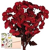 SNAILGARDEN 6 Pack Artificial Poppy Anemones,24Pcs 22" /56cm Long Stem Fake Silk Poppies Flower Faux Corn Poppy Flowers for Halloween Garden Wedding Decor Table Centerpieces(Red)