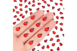 Yonseng 200pcs Mini Resin Ladybug Decor Tiny Ladybug for Crafts Dollhouse Miniatures Mini Resin Things Animals for Fairy Garden Micro Landscaping Home Decoration, 2 Types(0.32*0.4inch & 0.3*0.36inch)