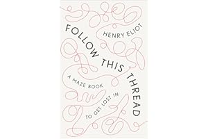 Follow This Thread: A Maze Book to Get Lost In