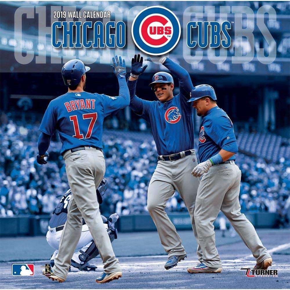 Best Chicago Cubs Home Office