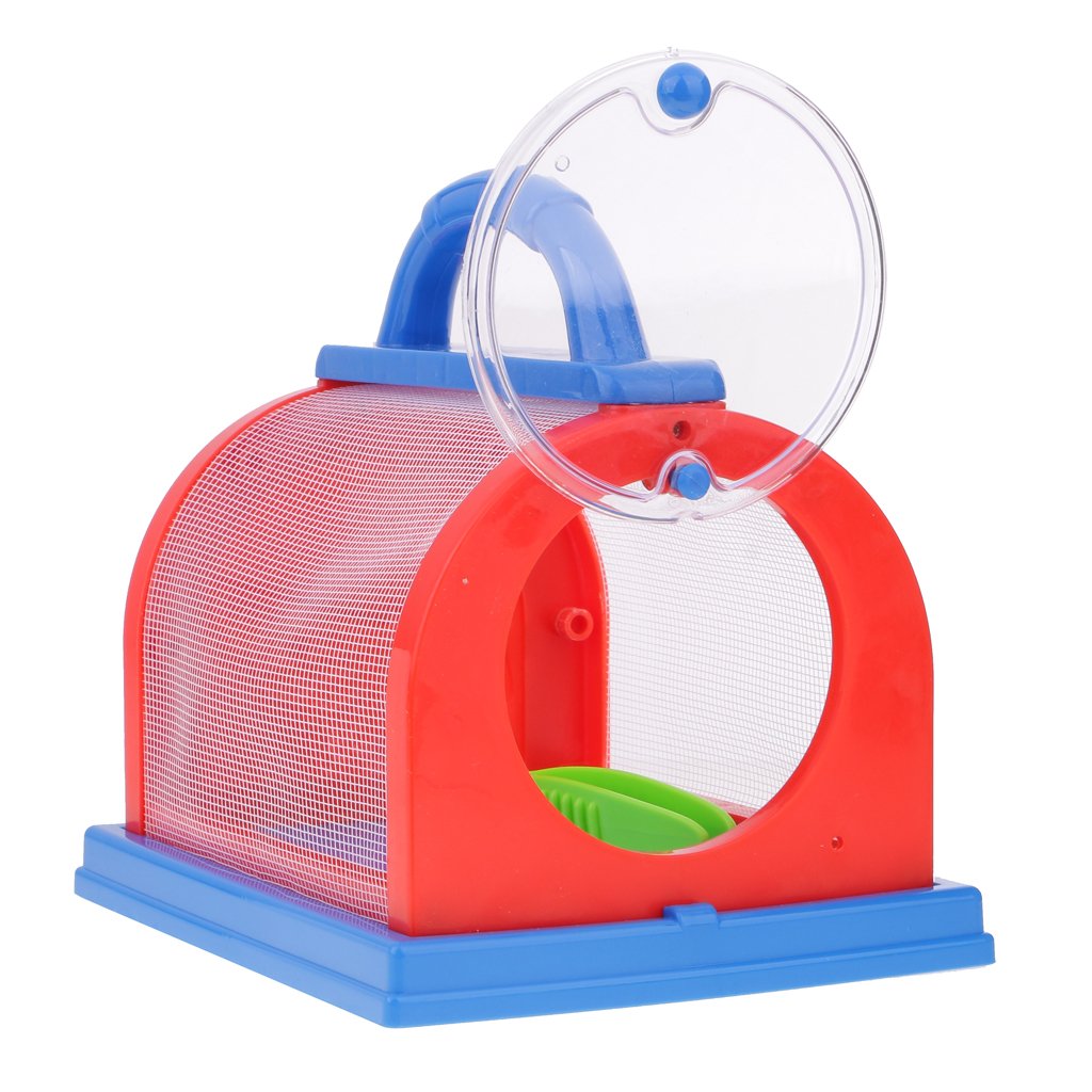 Buy Magideal Kids Backyard Safari Butterfly Habitat Insects House