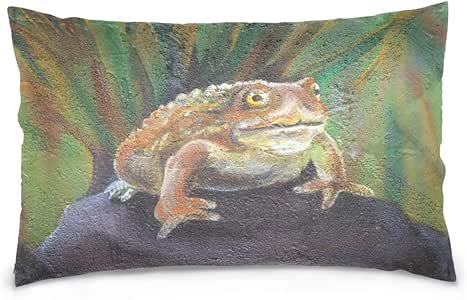 Amazon.com: My Daily Toad Painting Throw Pillow Case ...