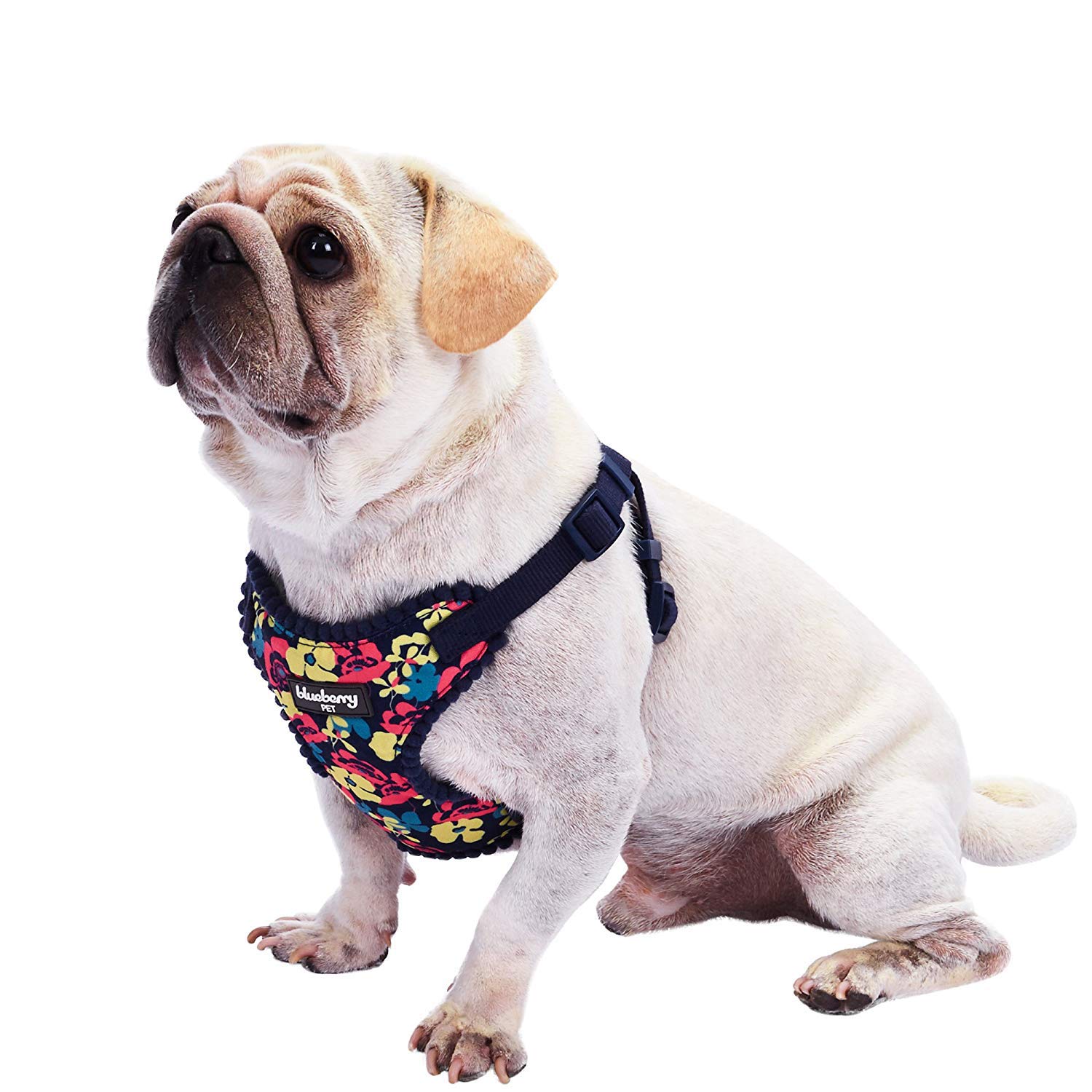 Blueberry Pet Spring Made Well Profound Floral Print Dog Harness Vest in Navy Blue, Chest Girth 45cm-53.5cm, Neck 42cm-50.5cm, Small, Adjustable Harnesses for Dogs