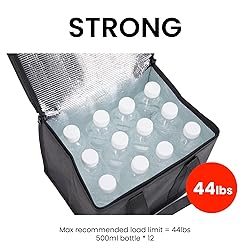 Small Insulated Cooler Bag and Food Warmer for