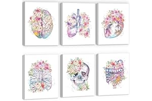 CHDITB Medical Human Anatomy Wall Art, Medical Anatomical Art Set of 6(12”x16”),Floral Heart Skull Medical Office Decor Gift for Nursing Doctor Posters for Wall, Floral Anatomy Framed Posters