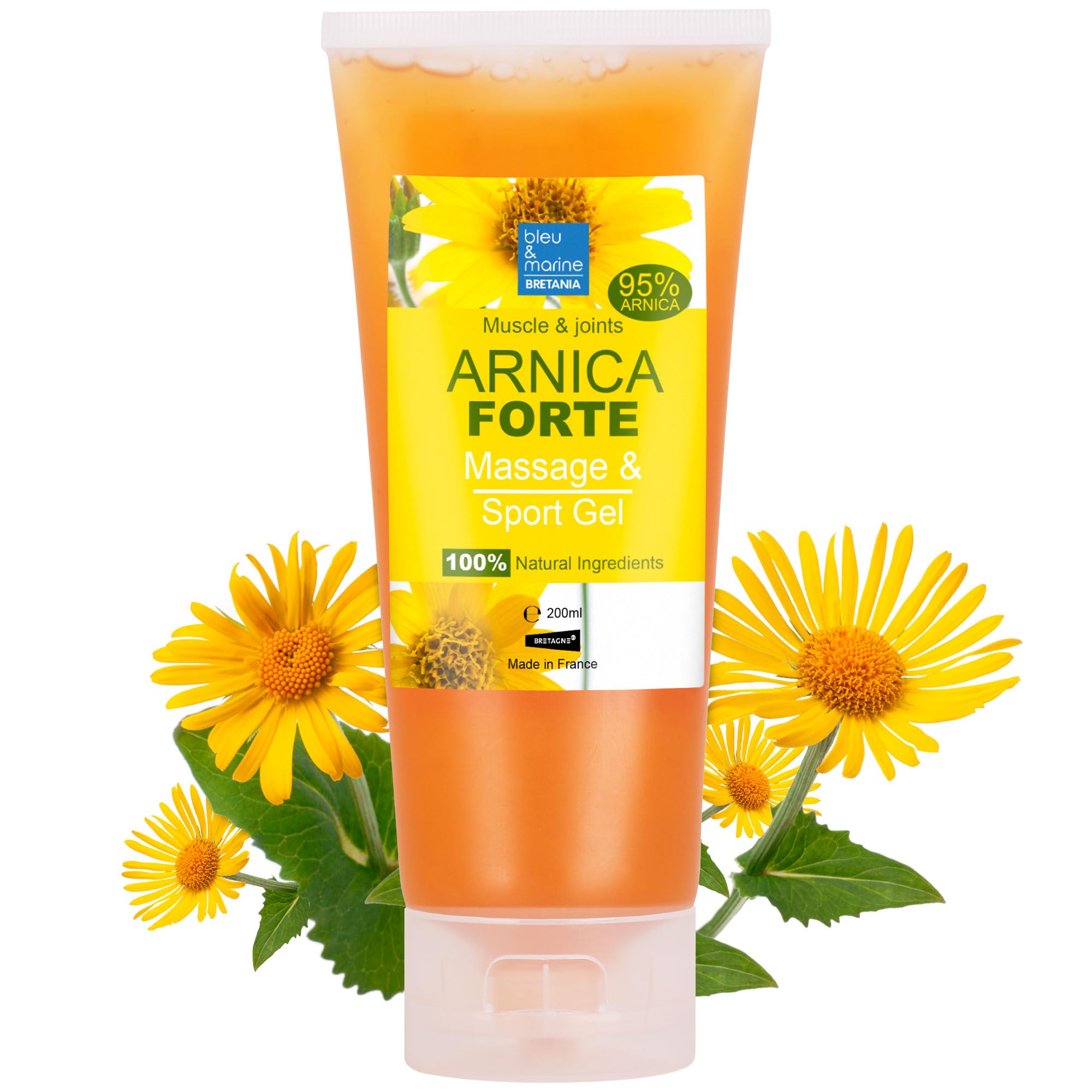 Arnica Gel Highly Concentrated Arnica Massage Gel & Sport Gel Pre & Post Workout Balm Absolute Efficacy 100% Natural Ingredients - 200 ml