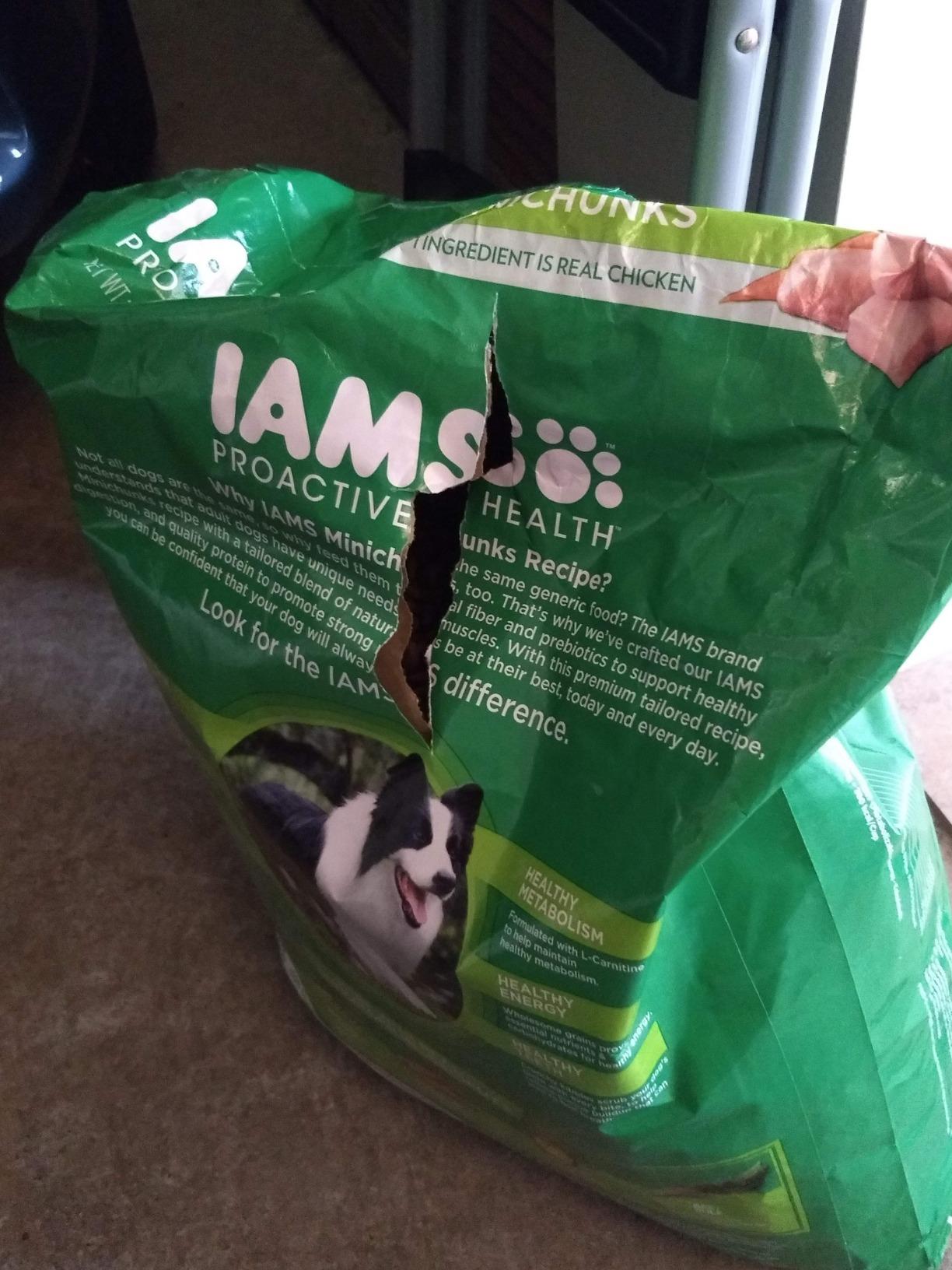 IAMS Proactive Health Minichunks Adult Dry Dog Food with Real Chicken, 30 lb. Bag photo review