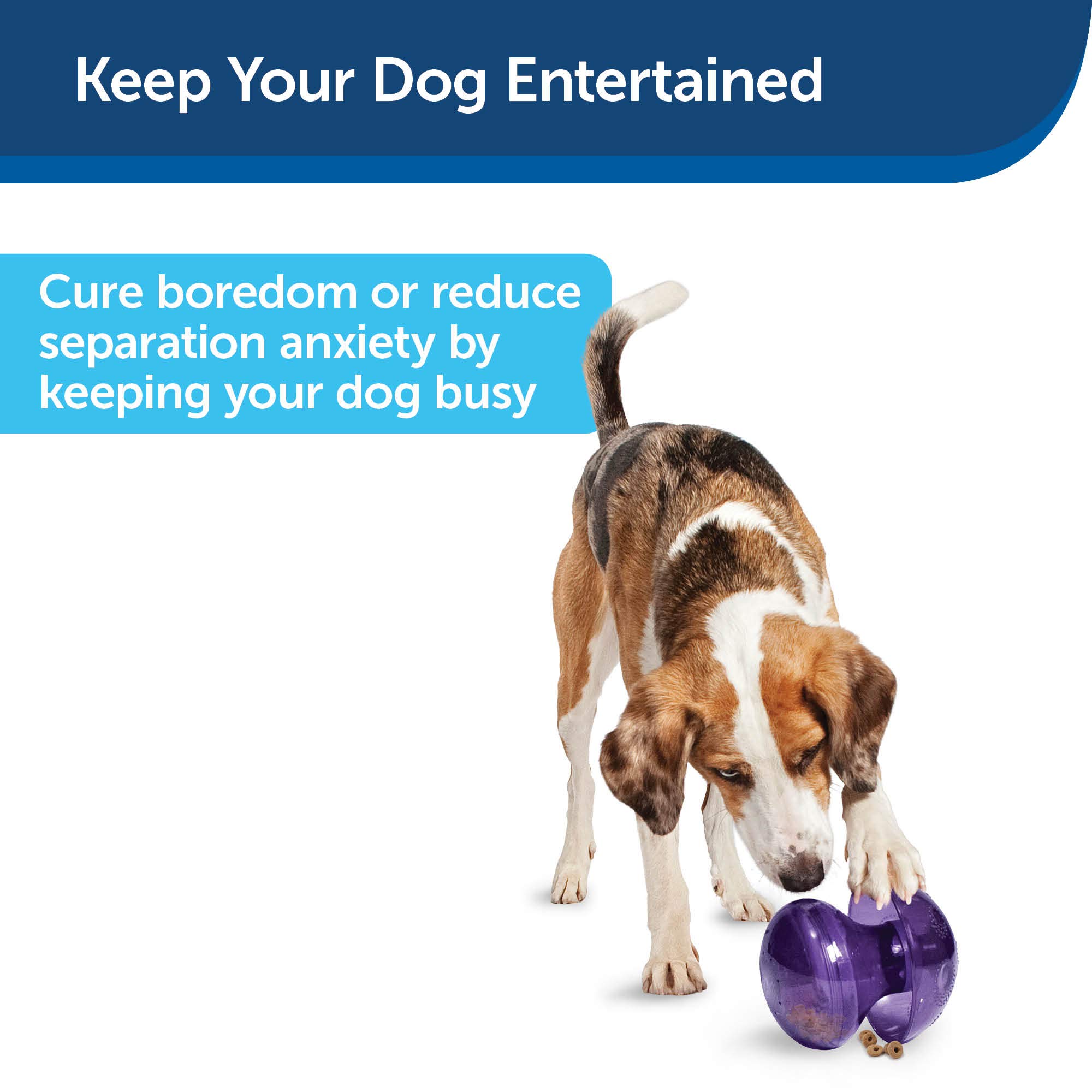 Busy Buddy Magic Mushroom Dog Pet Toy, Medium/LG