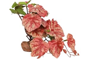 WOLEDOE Reptile Plants for Terrarium, Ball Python Tank Decor Accessories fit Bearded Dragon Crested Leopard Gecko Lizard Chameleon Snake Frog Tortoise Hermit Crab - Fake Heuchera Micrantha Pink