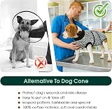 Kuoser Dog Surgery Recovery Suit Blue XS - Post-Op Bodysuit for Spay Neuter view 6