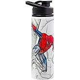 Silver Buffalo Marvel Spide-Man Stainless Steel Water Bottle, 25 Ounces
