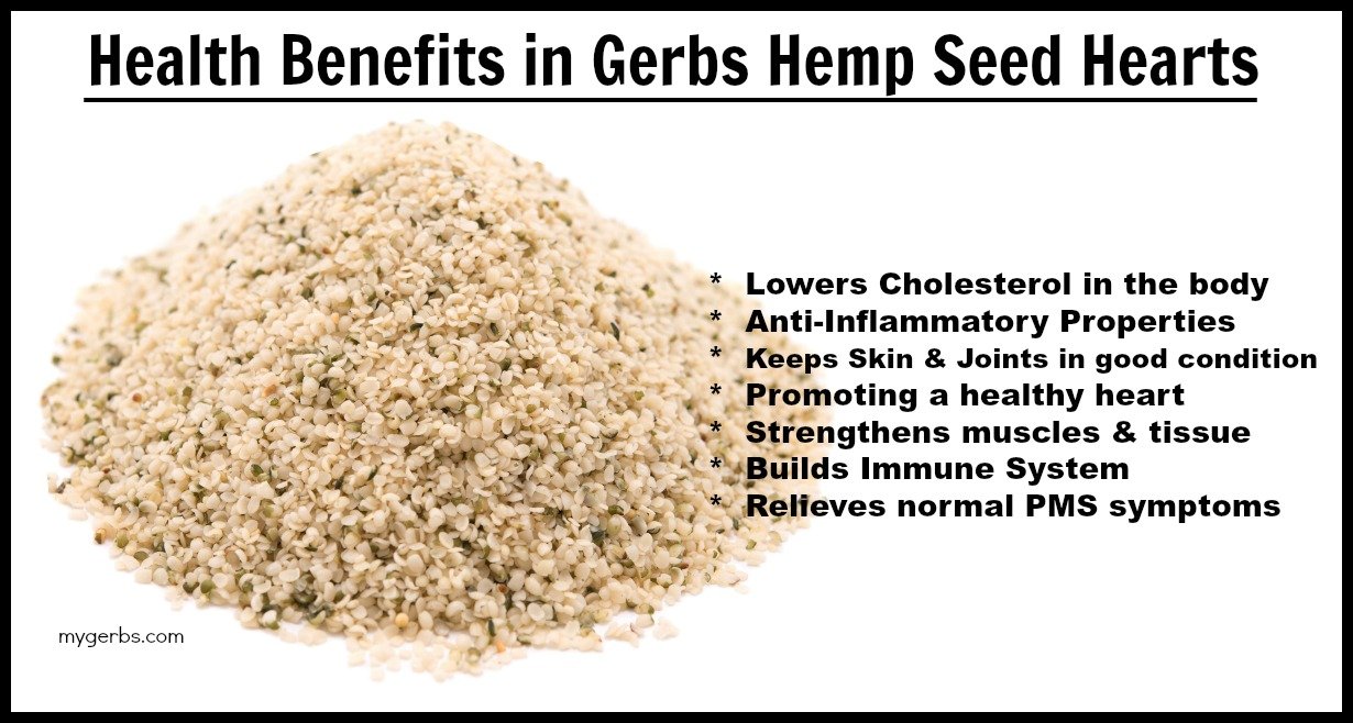 GERBS Raw Hemp Seed Kernels, 4 LBS by Top 12 Food Allergy Free & NON