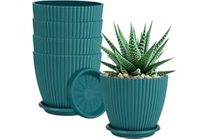 QRRICA Plant Pots 6 inch Pots, 5 Pack Flower Pots Outdoor Indoor, Planters with Drainage Hole and Tray Saucer-Blue