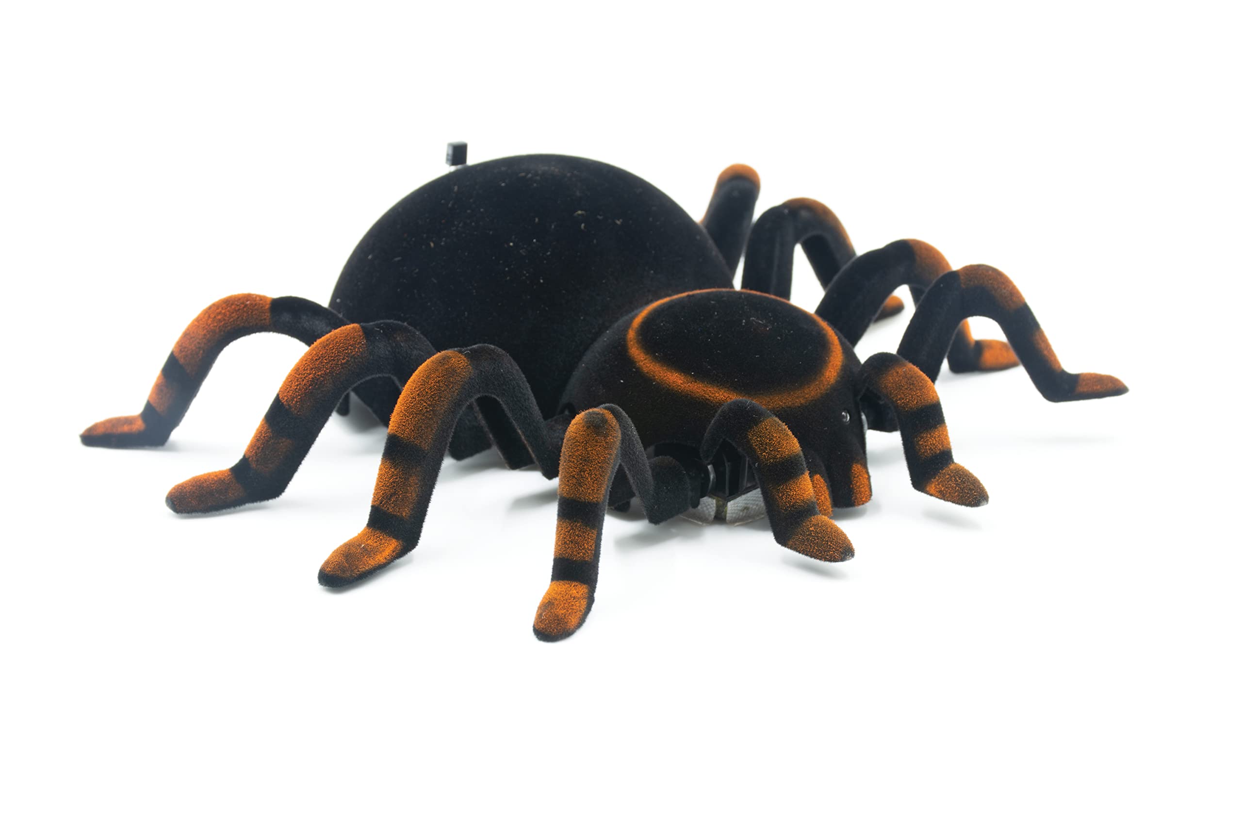 Tarantula Radio Control