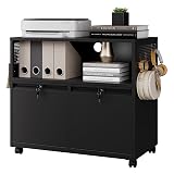 Letaya Mobile 2 Drawer File Cabinet with Lock, Metal Lateral Printer Stand Filing Storage Cabinets with Shelves for Home Office-A4/F4/Letter (Black)