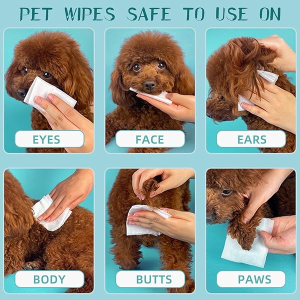 PET HYPOALLERGENIC WIPES,EXTRA THICK CAT WIPES FOR CLEANING SMALL ANIMAL’S PAWS,EARS,BUTT,FACE AND EYES,PORTABLE ORGANIC PAW WIPES FOR CATS,IDEAL FOR HOME OR TRAVE (320 COUNT (PACK OF 4))