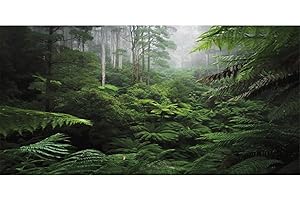 AWERT Foggy Forest Terrarium Background Green Tree Reptile Habitat Background Tropical Rainforest Aquarium Background 48x18 inches Polyester Background