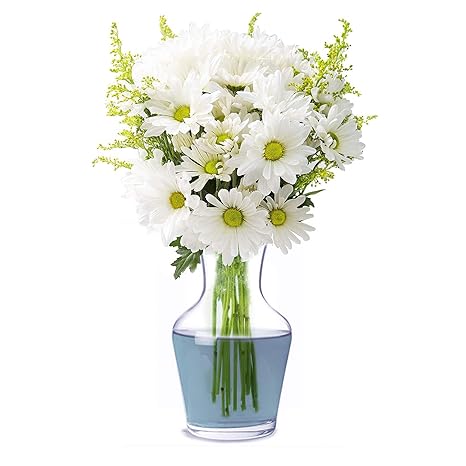 Buy Aakriti Glass Flower Pots For Home Decor Vase For Wedding