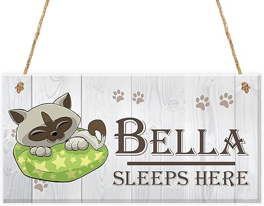 personalised cat cushion