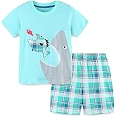 Bumeex Toddler Boy's Short Sleeve T-Shirt and Short Outfit Set 2-7T