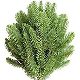 Elyjhyy 30pcs Artificial Pine Picks Branches Green Plants Pine Accessories for Garland Needles Wreath Christmas and Home Garden Decor DIY
