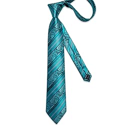 DiBanGu Silk Paisley Ties for Men Woven Necktie and