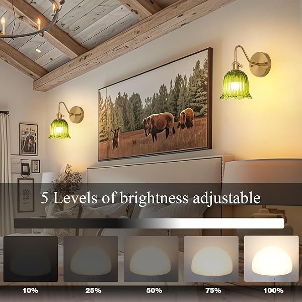 JERANDO VINTAGE BATTERY OPERATED WALL SCONCES SET OF TWO, RGB DIMMABLE LED WALL LIGHT WITH REMOTE CONTROL, GREEN GLASS LAMPSHADE WALL LAMP WITH 15 COLORS FOR BEDROOM, LIVING ROOM, HOME DECOR