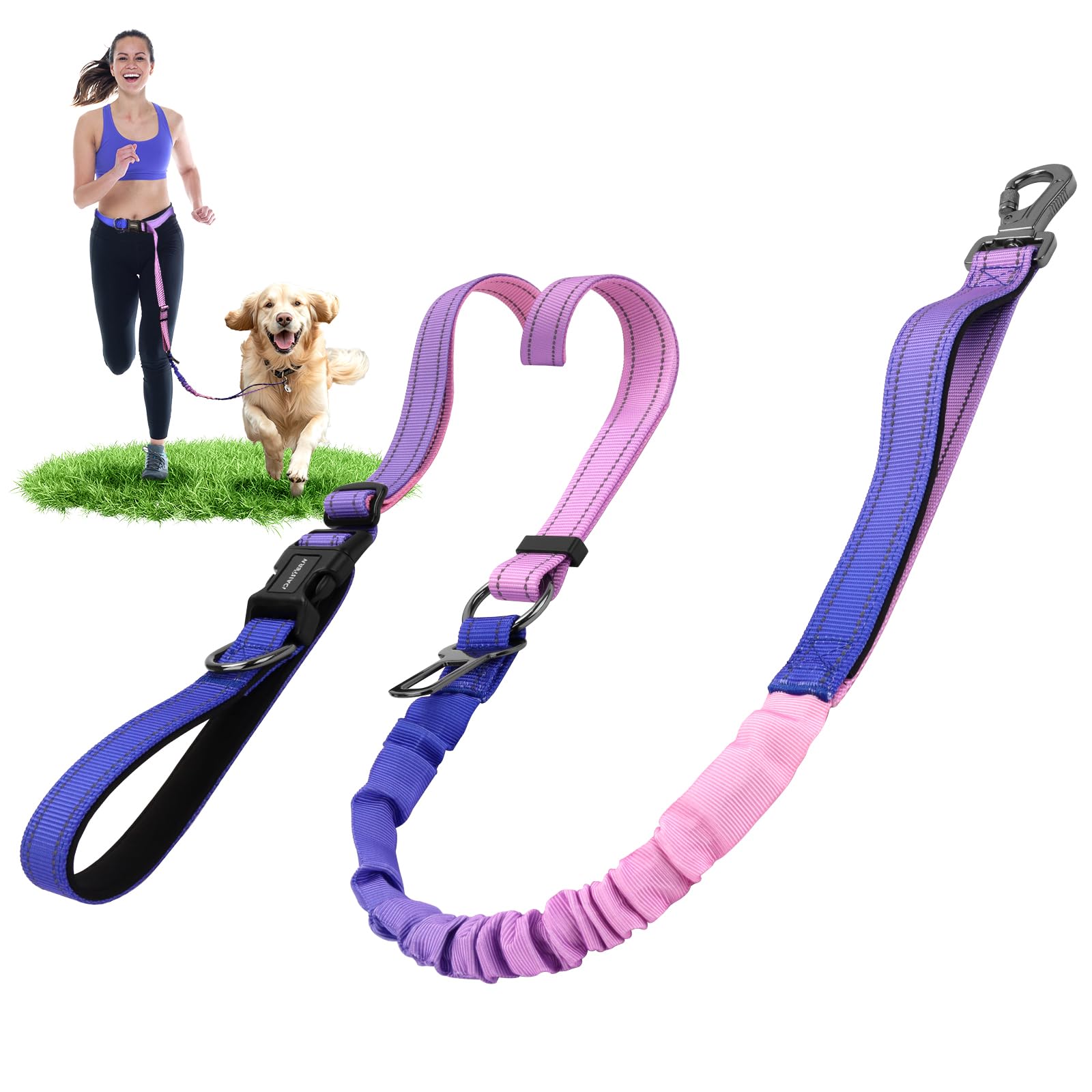 DAISTERN 6-in-1 Jogging Lead for Dogs, Free Hands-Free Lead, Elastic, Shock-Absorbing, Reflective with 360° Rotating Locking Carabiner, Adjustable Waist Belt for Medium and Large Dogs, Purple