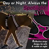 Eagloo Small Dog Harness Adjustable Front Clip No Pull Reflective Rose Red S view 8