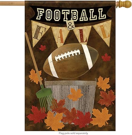 Amazon Com Carson Large Flag Football Fall Garden Outdoor