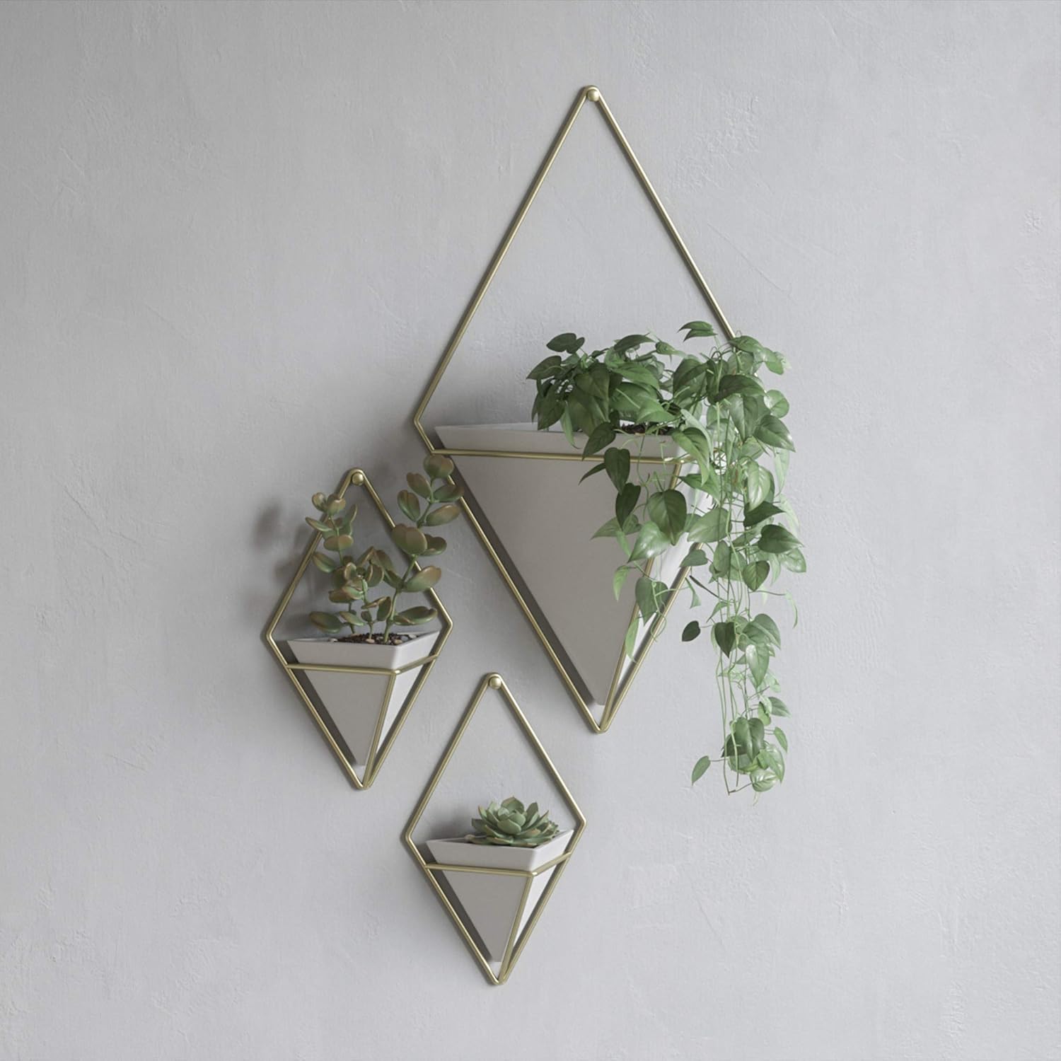 Umbra Trigg Hanging Planter Vase & Geometric Wall Decor Container - Great For Succulent Plants, Air Plant, Mini Cactus, Faux Plants and More, White Ceramic/Brass: Home & Kitchen