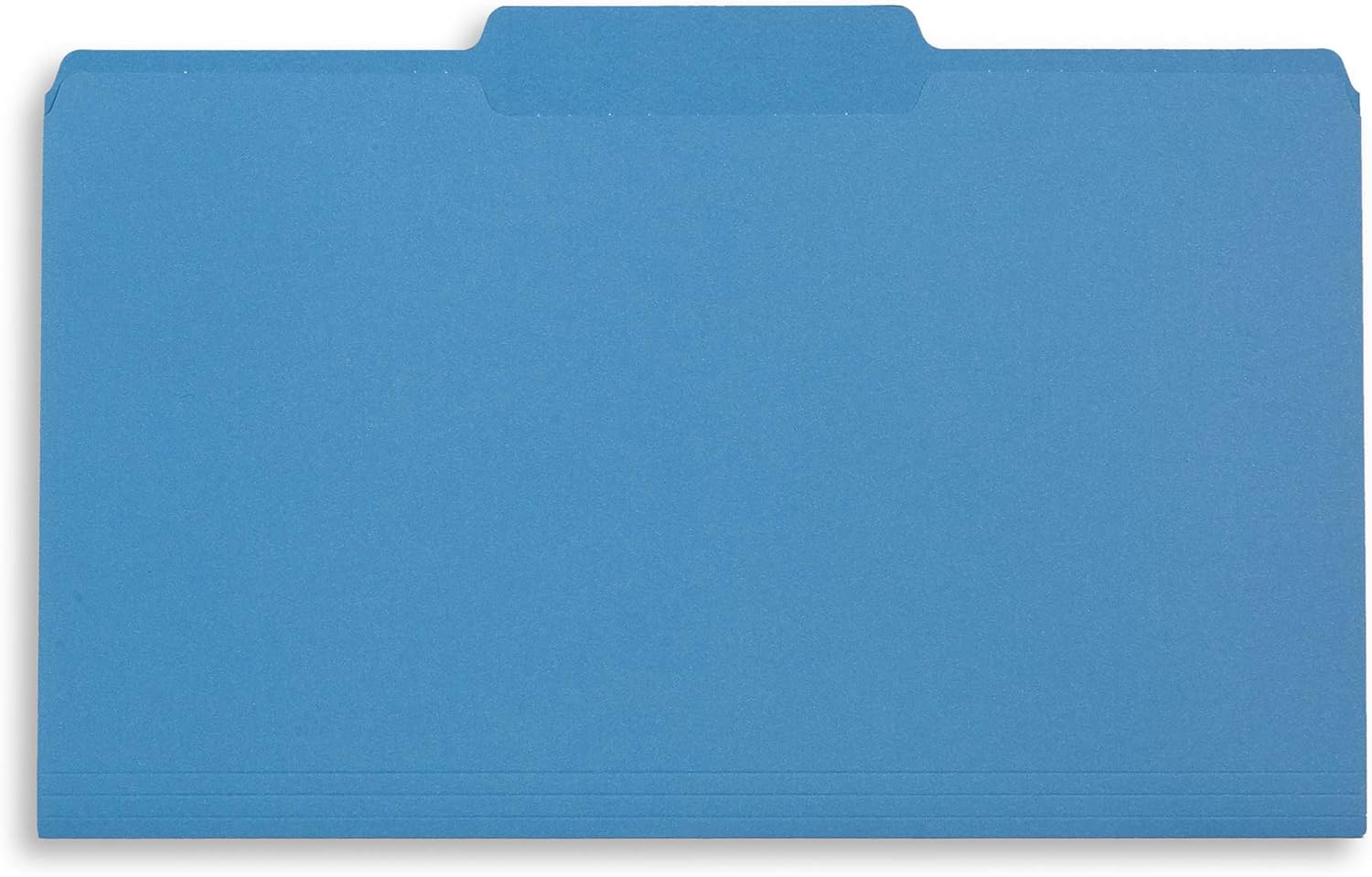 Blue Summit Supplies Blue Legal File Folders, Legal Size, 1/3 Cut Tab, Great for Organizing and Easy File Storage, File Folders 100 Count : Office Products