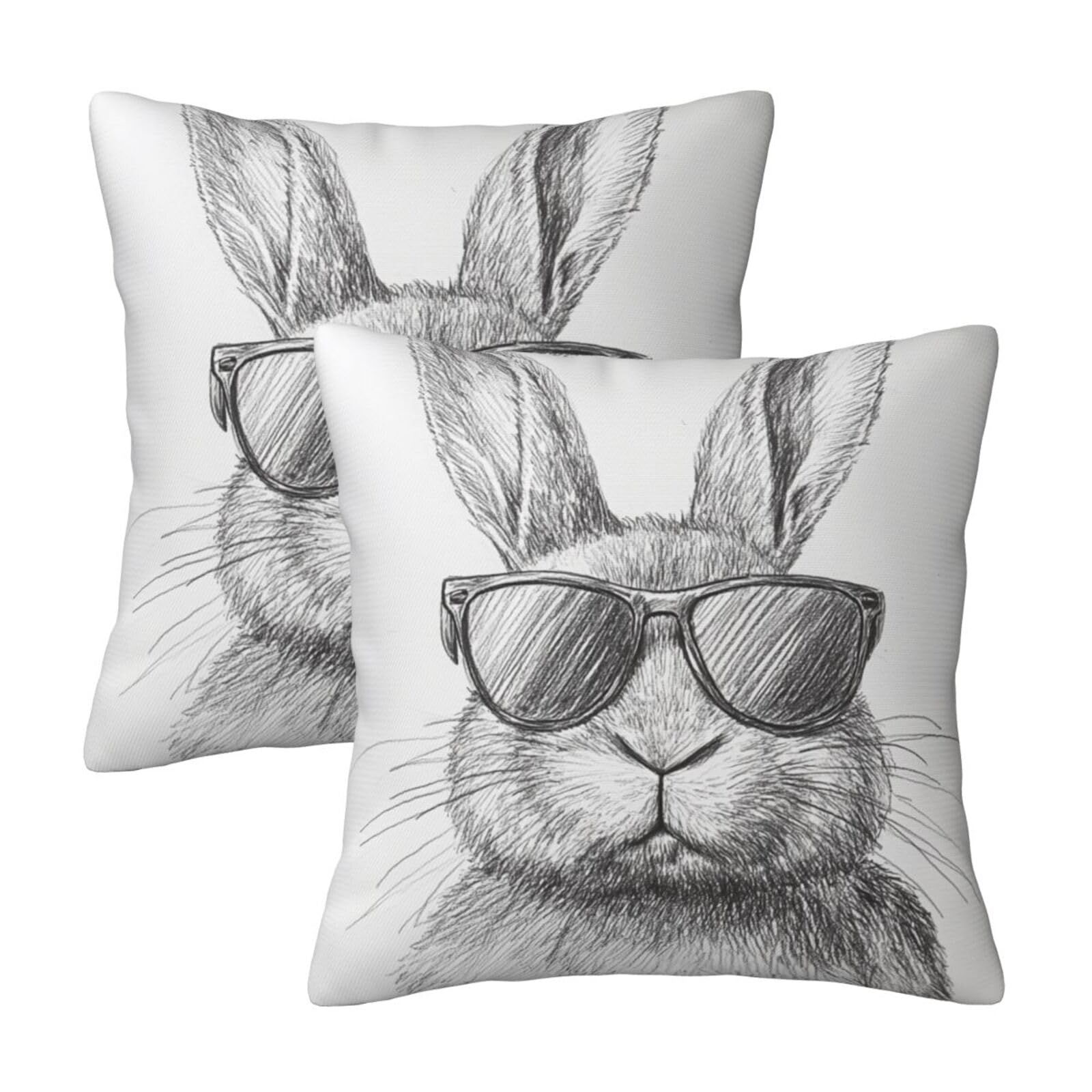 Photo 1 of Taekifiyy Easter Bunny Throw Pillow Covers 18x18 Inch Set of 2 Western Decorative Cushion Cases for Couch Living Room Bedroom