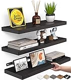 BAYKA Floating Shelves for Wall, Wall Mounted
