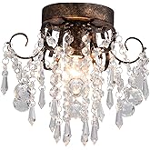 Q&S Small Crystal Ceiling Light Fixture Flush Mount,Black with Brushed Gold Accents Ceiling Lights Modern Chandelier,Bedroom Hallway Closet Light Fixture,Dia9.5 1 Light.
