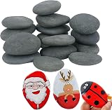 Hisredsun 16 Pcs Painting Rocks Flat River Stones 5-8 cm Smooth