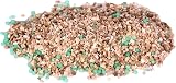 Pro-Kleen Autumn Lawn Feed 2.5kg - Green Up & Disease Prevention view 9