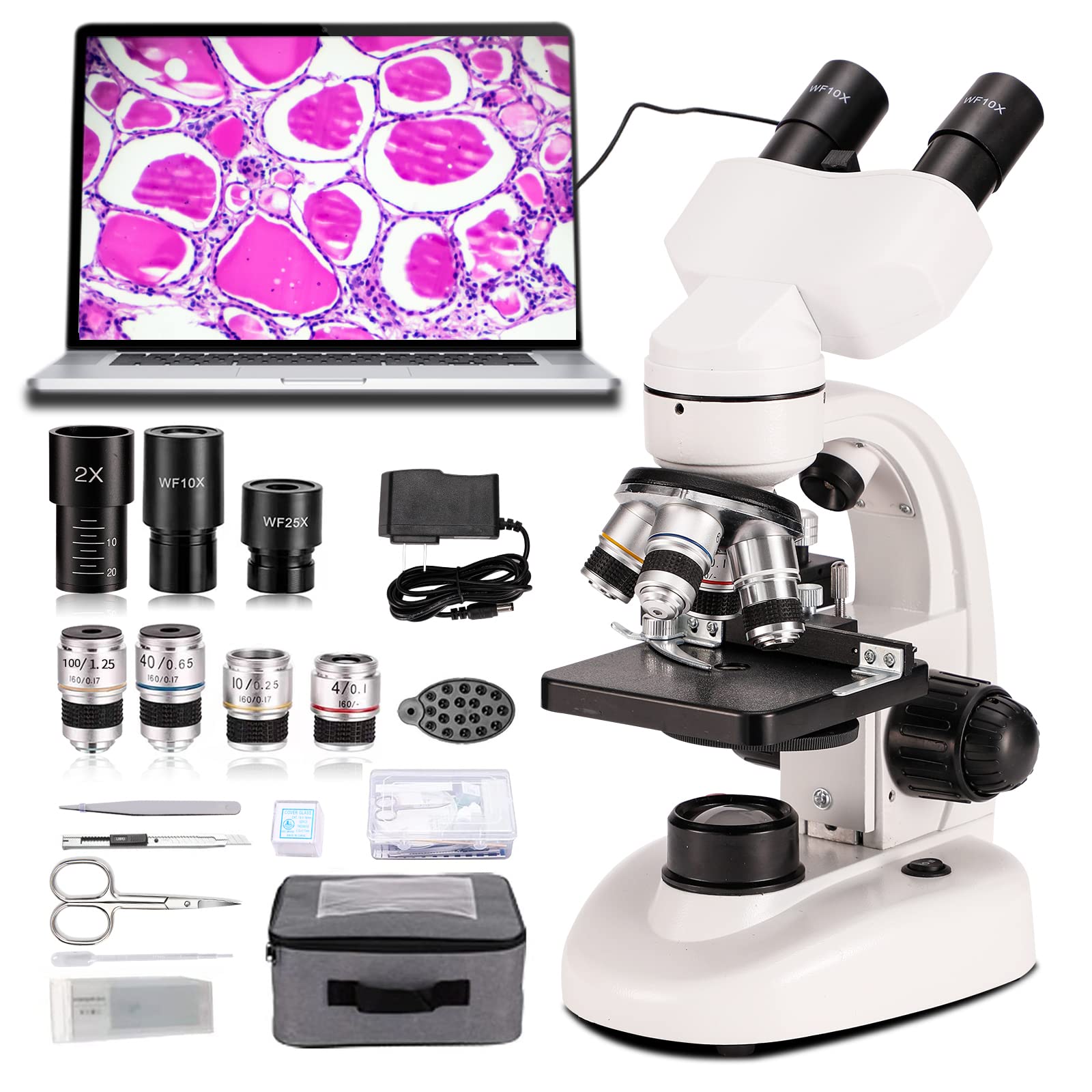 40x Bench Microscope Mua Compound Binocular Microscope, WF10x and WF25x Eyepieces,40X-2000X ...