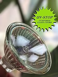 Phoenimax 6PCs MR16 12V 50W 800LM Halogen Bulb